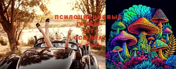 герыч Няндома