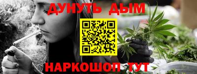 амф Гай
