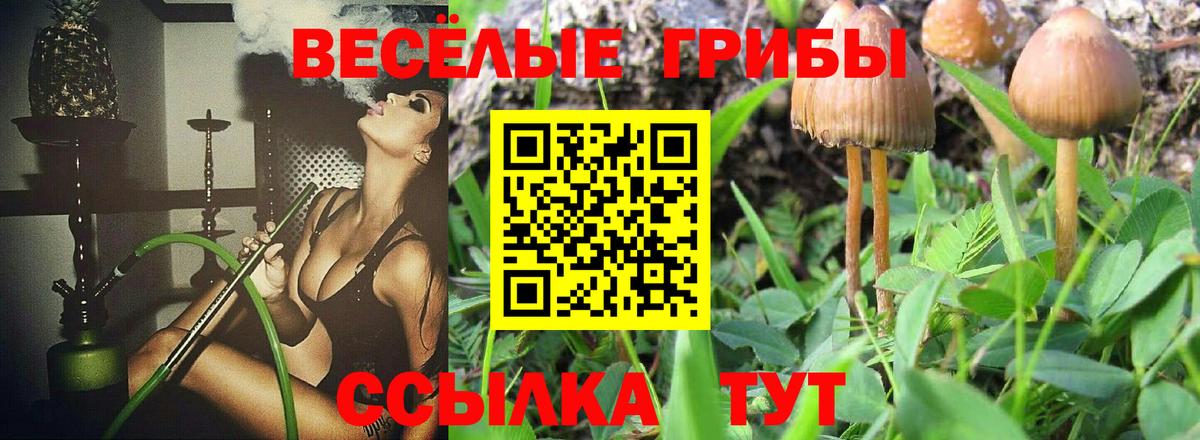 Псилоцибиновые грибы Magic Shrooms Зерноград