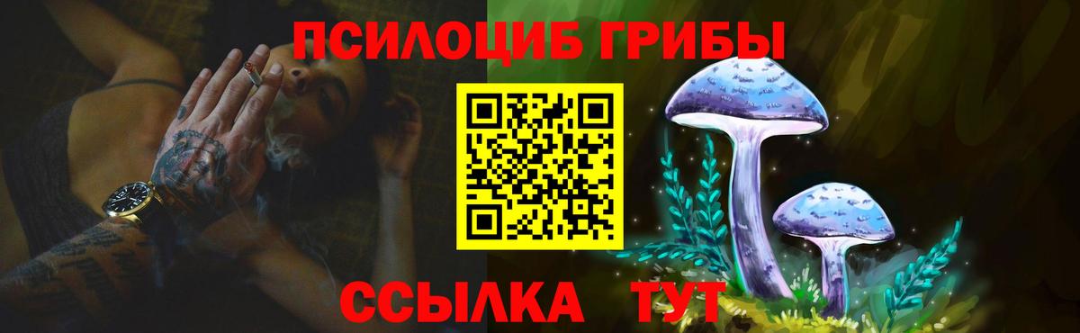 Галлюциногенные грибы GOLDEN TEACHER  Вход с VPN  купить закладку  Галлюциногенные грибы Cubensis  Зерноград 