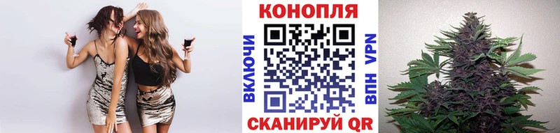 Каннабис гибрид дарк нет какой сайт Зерноград